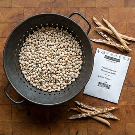 California Blackeye #5, Cowpea Seeds